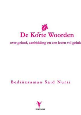 De korte woorden van Bediuzzaman Said Nursi over geloof, aanbidding en een leven vol geluk (Paperbac
