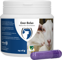 Excellent Ener Bolus Schaap & Geit