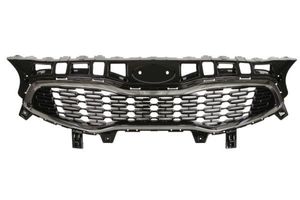 Radiateurgrille 6502073268991P