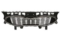 Radiateurgrille 6502073268991P