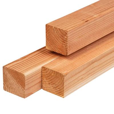 Paal douglas 8,5x8,5x300 cm Tuindeco - Tuindeco