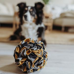 HUNTER Hondenspeeltje Snuffelbal, grijs-zwart-geel
