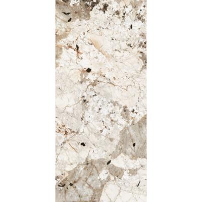 Douglas & Jones Vloertegel 120x280 cm Magnum Glans Tundra - Vloertegel 120x280 cm Magnum Glans Tundra (prijs Per Tegel)