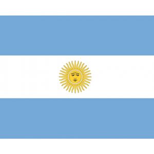 Kleine Argentinie vlaggen stickers