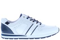 Australian Ramazotto white blue Wit  - thumbnail