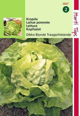 Kropsla Grosse Blonde Dikke Blonde Traagsch. - Hortitops