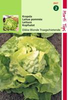 Kropsla Grosse Blonde Dikke Blonde Traagsch. - Hortitops