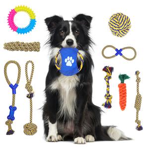 Honden speeltouwen set 10 stuks