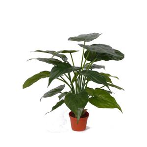 Kunstplant alocasia olifantsoor - groen - H51 cm - Groene huis of kantoor nepplanten