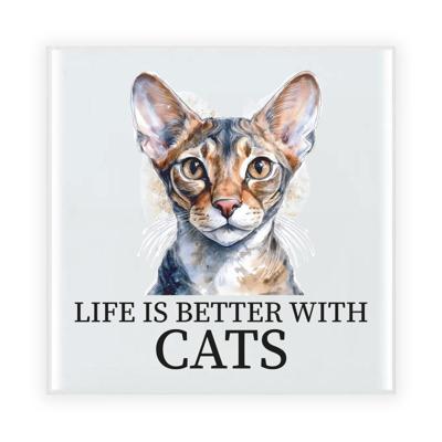 Cadeau tegel kattenliefhebber - Sphynx kat/poes - keramiek - waterverf - 15 cm
