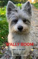 Wally Boom - Hans Van der Meer - ebook