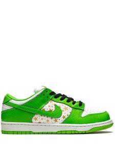 Nike baskets SB Dunk - Vert