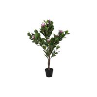 Decoratieve plant DKD Home Decor Roze Groen PE (60 x 60 x 125 cm)