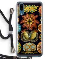 Haeckel Ascidiae: Huawei P20 Transparant Hoesje met koord