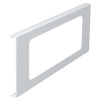 D2-3 110RW  - Face plate for device mount wireway D2-3 110RW
