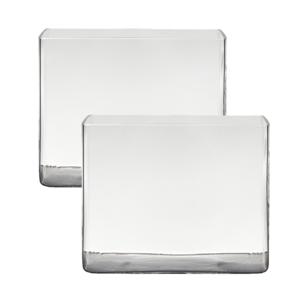Hakbijl Glass accubak vaas - Set van 2x stuks - van glas - 25 x 18 x 20 cm - rechthoekig - terrarium