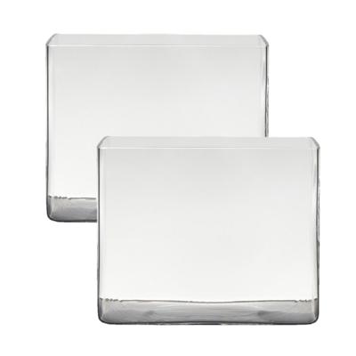 Hakbijl Glass accubak vaas - Set van 2x stuks - van glas - 25 x 18 x 20 cm - rechthoekig - terrarium