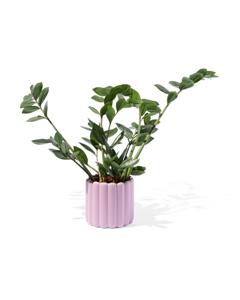 HEMA Bloempot Ø12x13cm Keramiek Ribbel Lila (lila)