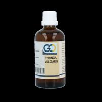 GO Syringa vulgaris bio 100 Milliliter