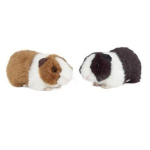 Set van 2x pluche cavia knuffels 20 cm speelgoed met geluid