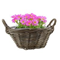 Planten/bloemen mand met hengsels - rond - bruin - D43 x H18 cm - rotan gevlochten