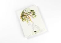 Landscape (Hardback)