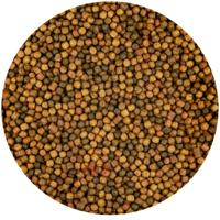 Vivani Japanse Mix Koi Voer 3mm - Premium Vijvervis Voeding, Kleur & Groei, 6kg