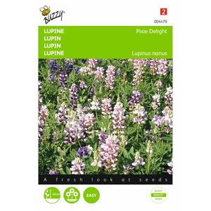 2 stuks Lupinus Nanus Pixie Delight Gemengd