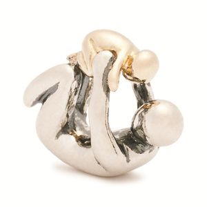 Trollbeads TAGBE-00084 Kraal Vaderschap zilver/goud