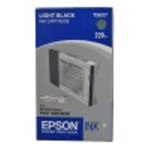 Epson inktpatroon Light Black T603700 220 ml