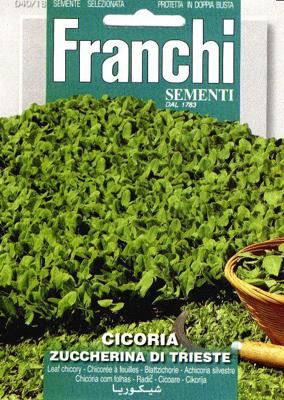 Cichorei, Cicoria Di Trieste 40/18 - Franchi