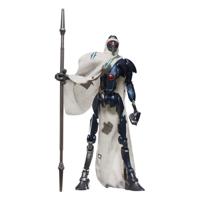 Hasbro Star Wars Black Series Magnaguard