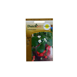 Dutch Pro Dutch Pro - Aardbei Regina