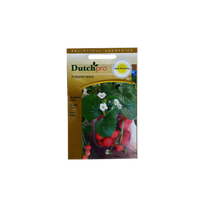 Dutch Pro Dutch Pro - Aardbei Regina