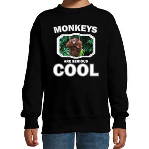 Dieren orangoetan sweater zwart kinderen - monkeys are cool trui jongens en meisjes