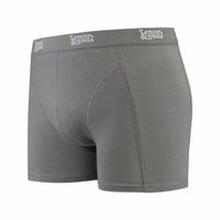 Grijze boxershort Lemon and Soda 2XL  - - thumbnail