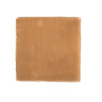 Terre d&apos;Azur Porto Tegel 10x10cm Bruin F37