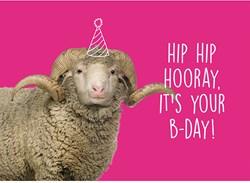 Wolplein Ansichtkaart - Hip Hip Hooray, it&apos;s your B-day