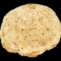 Jumbo Knolselderij