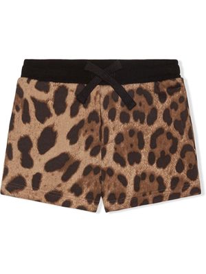 Dolce & Gabbana Kids short à imprimé léopard - Marron
