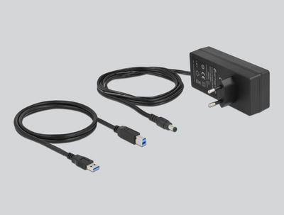 DeLOCK 63669 interface hub USB 3.2 Gen 1 (3.1 Gen 1) Type-B 5000 Mbit/s Grijs