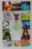 Steengoed Hanger gezondheidssteen chrysopraas 1 Stuks
