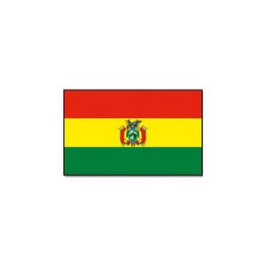 Vlag Bolivia 90 x 150 cm feestartikelen