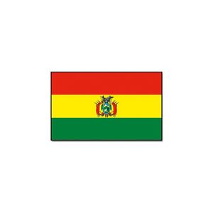 Vlag Bolivia 90 x 150 cm feestartikelen