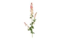 Decostar Delphinium giant 90 cm roze