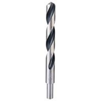 Bosch Accessories 2608577312 Metaal-spiraalboor 17 mm 1 stuk(s) - thumbnail