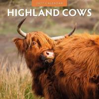 Schotse Hooglanders Kalender 2027