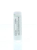 Homeoden Heel Kalium muriaticum D6 6 Gram