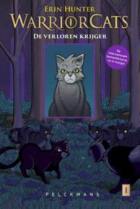 De verloren krijger (Paperback)
