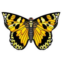 Vlinder vlieger geel 71 cm breed/wijd